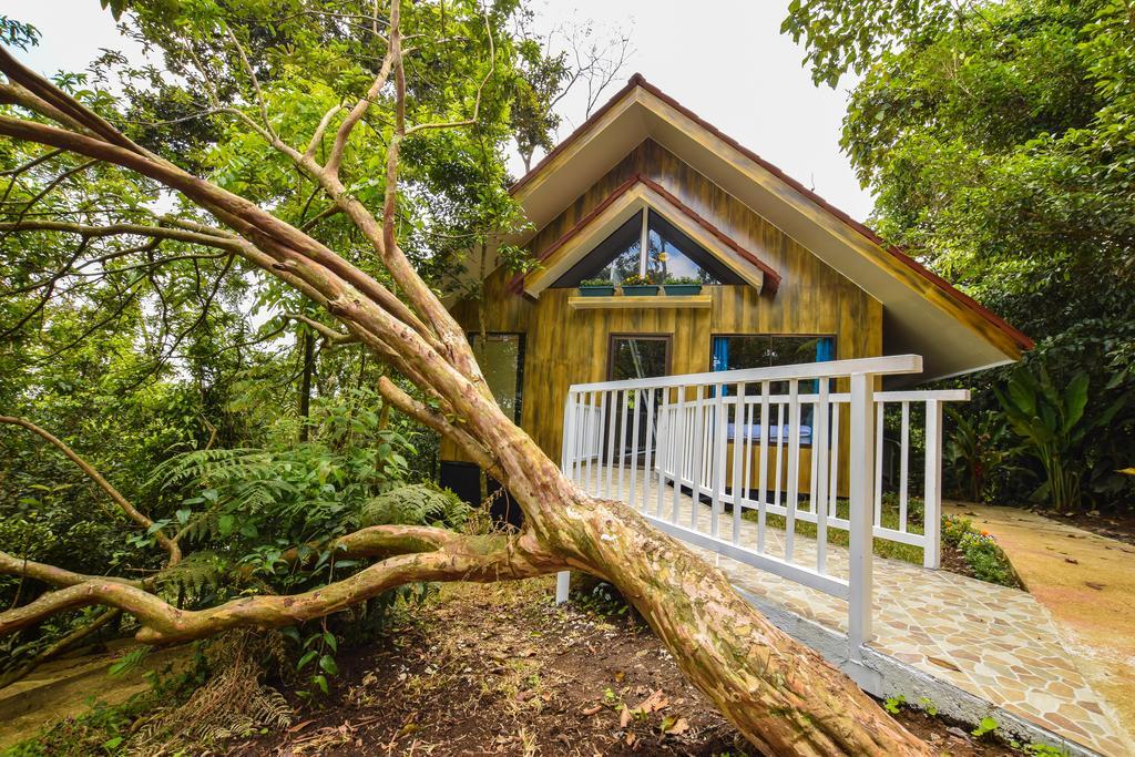 Arenal Waterfall Lodge Bagian luar foto