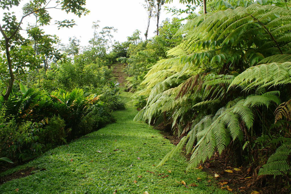 Arenal Waterfall Lodge Bagian luar foto